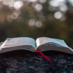Renewals of Appointments